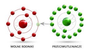 przeciwutleniacze