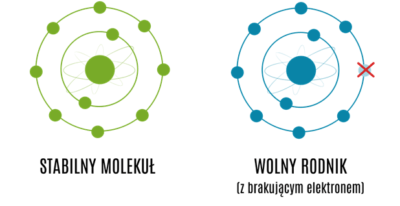 wolne rodniki i przeciwutleniacze 